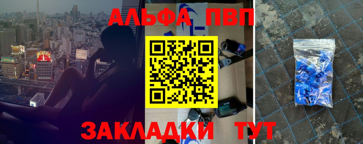 Альфа ПВП СК Великий Новгород