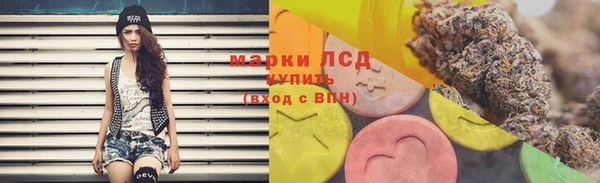 стаф Абинск