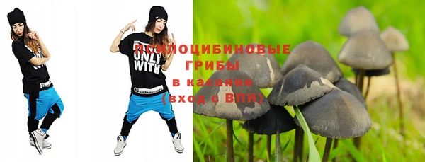 спиды Абдулино