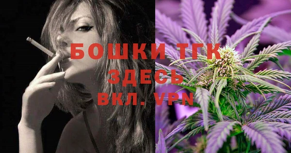 шишки Абаза