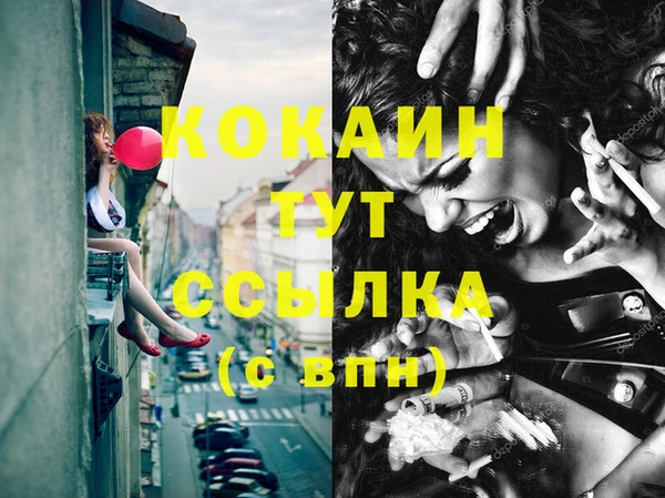 шишки Абаза