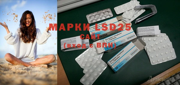 шишки Абаза