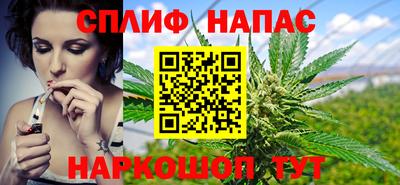 прущие грибы Балашиха