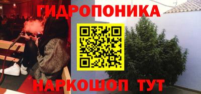 прущие грибы Балашиха