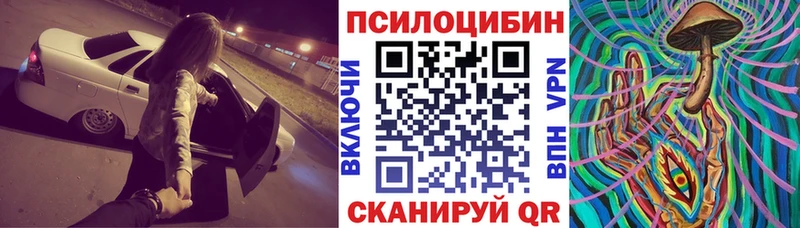 Псилоцибиновые грибы Psilocybe  купить наркотик  Великий Новгород 