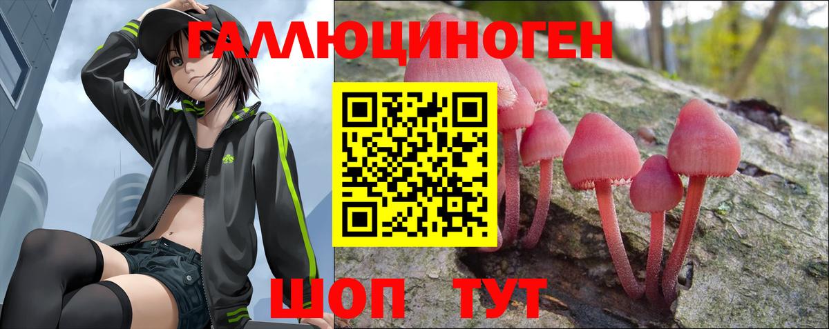 Псилоцибиновые грибы мухоморы Великий Новгород