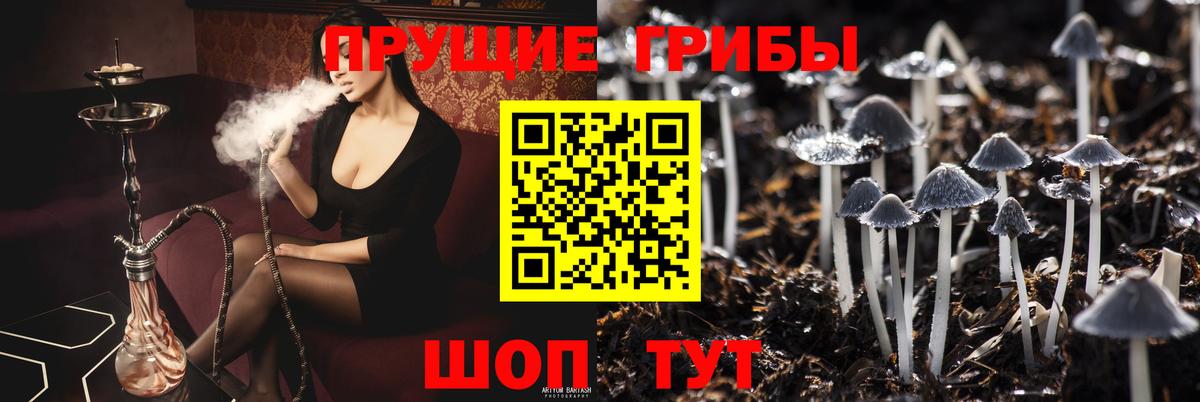 Псилоцибиновые грибы MAGIC MUSHROOMS  наркотики  Великий Новгород  Вход с VPN 